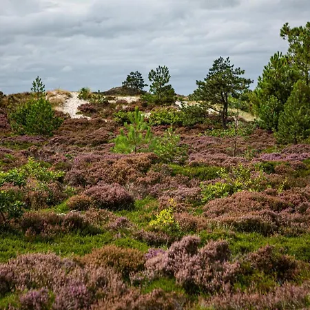 Strandhotel Camperduin 4* Schoorl