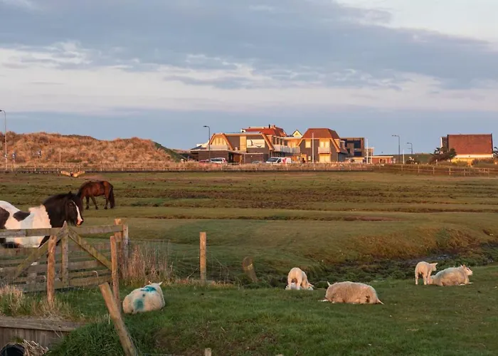 ホテル Strandhotel Camperduin スコールル