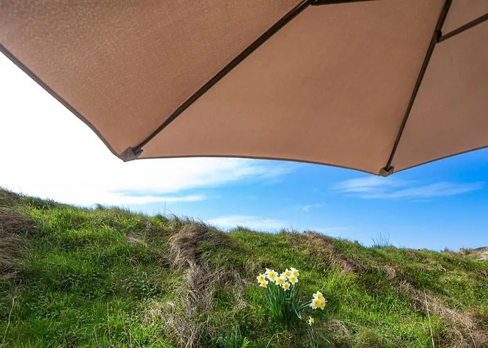 Strandhotel Camperduin ホテル 4*