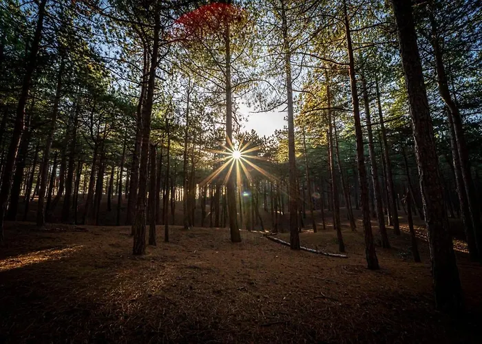 Strandhotel Camperduin スコールル