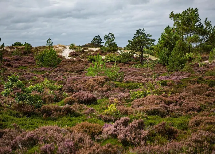 Strandhotel Camperduin 4* スコールル