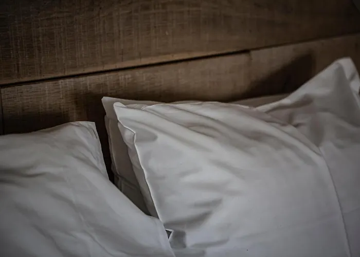 ホテル Strandhotel Camperduin 4*