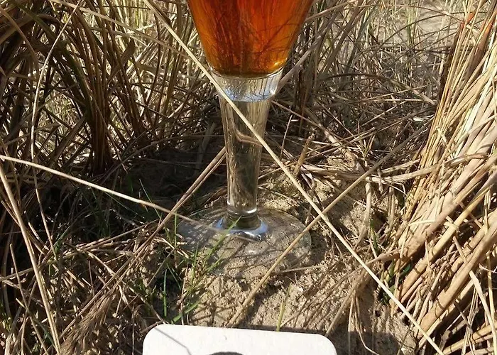 ホテル Strandhotel Camperduin 4*