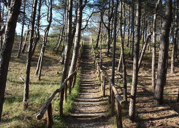 Strandhotel Camperduin 4*