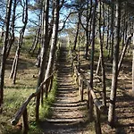 Strandhotel Camperduin 4*