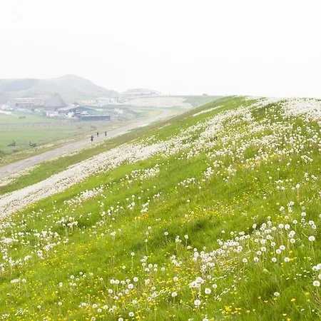 Strandhotel Camperduin 호텔 4*